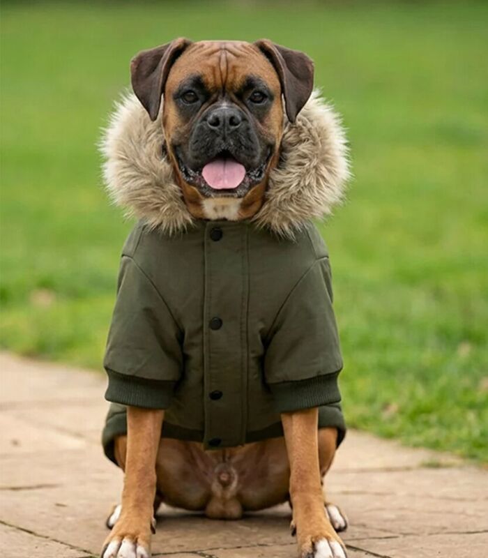 Dog’s parka jacket Thumbnail